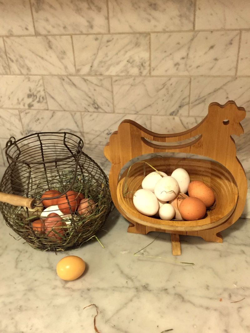 Eggs photo