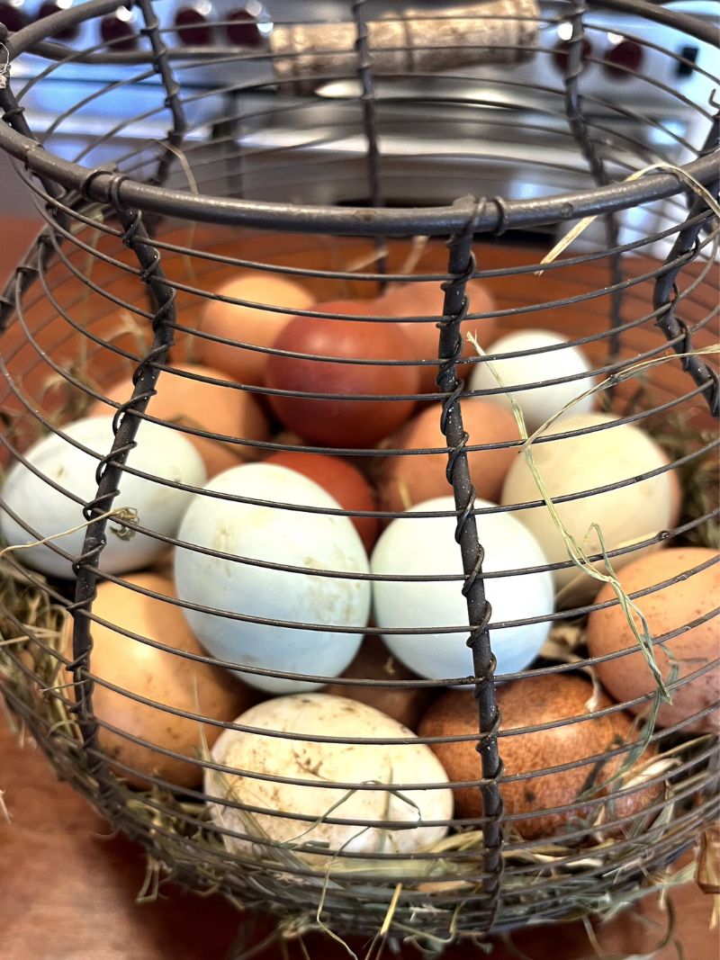Eggs photo