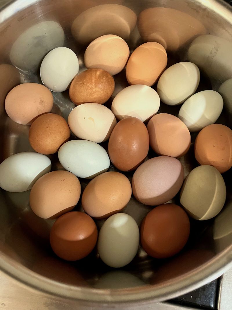 Eggs photo