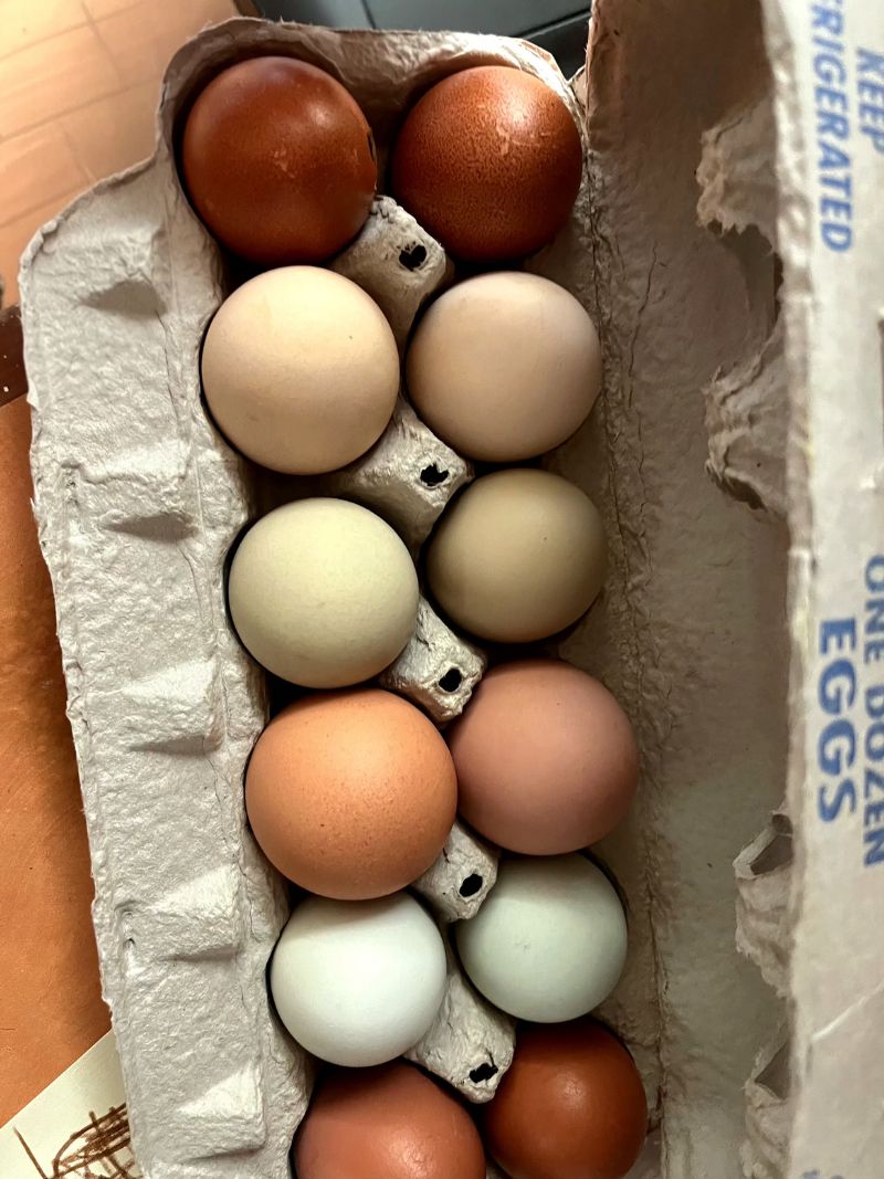Eggs photo