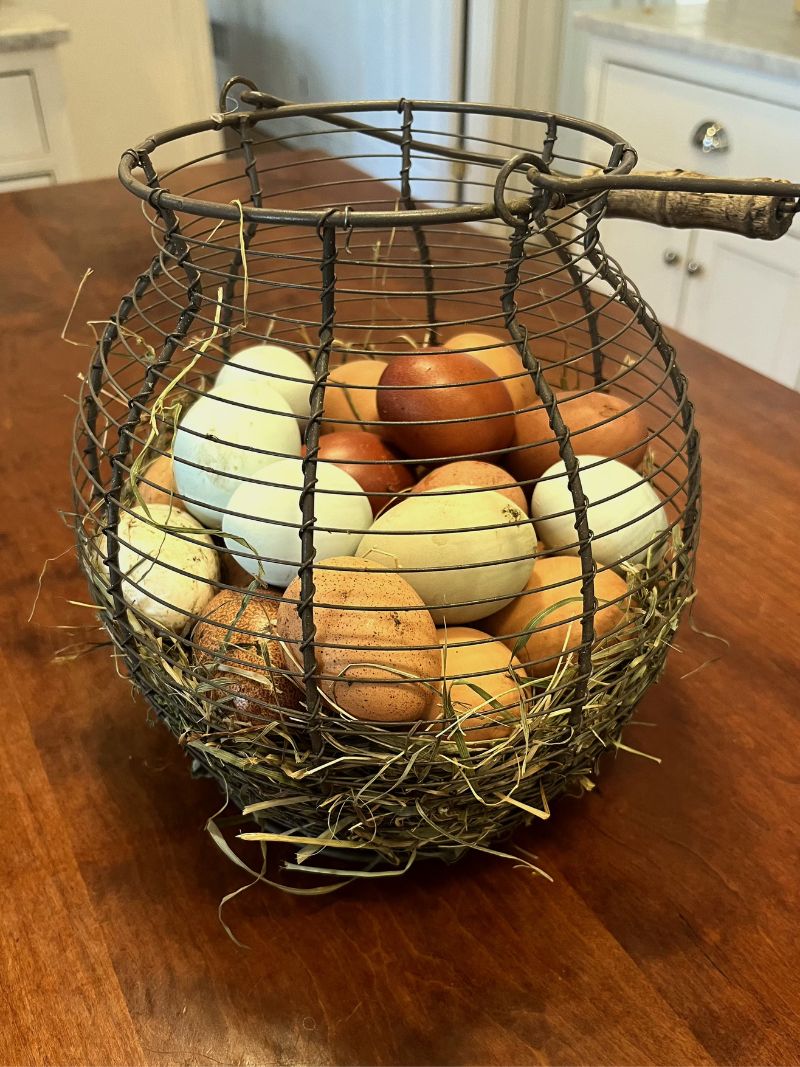 Eggs photo