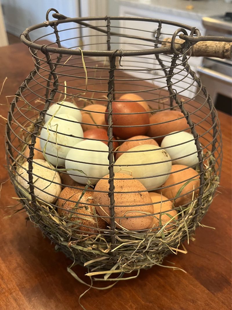 Eggs photo